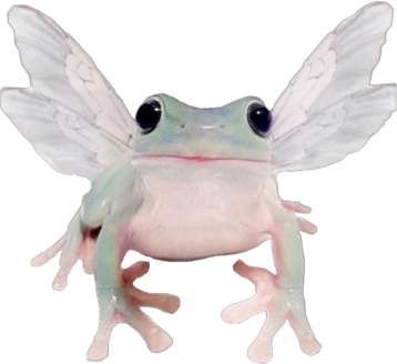 fairy_frog emote for Discord