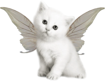 fairy_cat emote for Discord