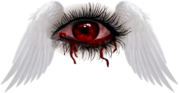 eye_wings emote for Discord