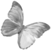 butterfly emote for Discord