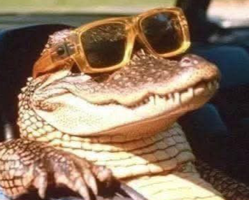 LaterAlligator emote for Discord