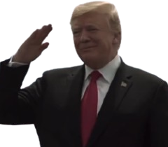 TrumpSalute emote for Discord