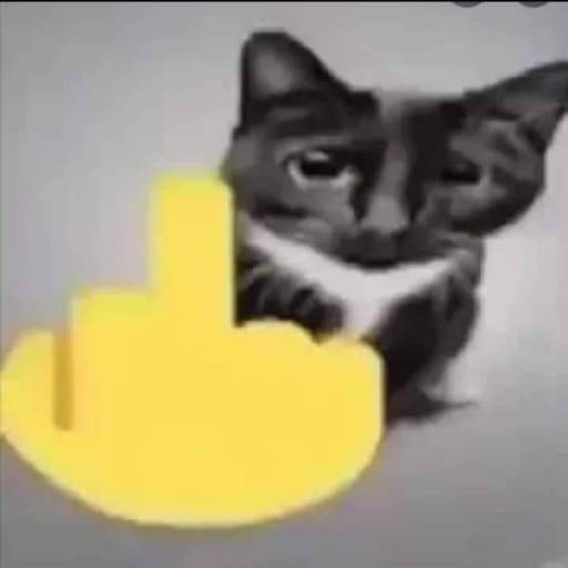 CatFlipOff static emote