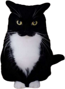 silly_cat emote for Discord