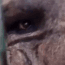ayo emote for Discord