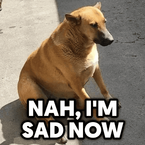 sad_dog emote for Discord