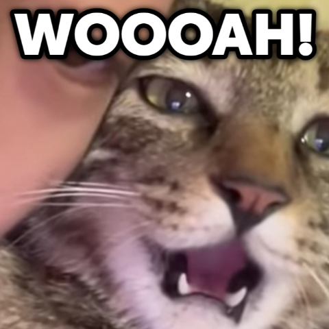 woooah emote for Discord