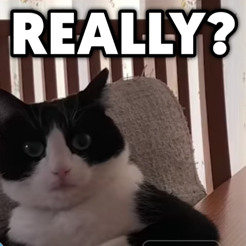 Really emote for Discord