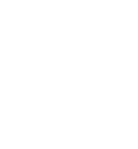 lvl_30_role emote for Discord