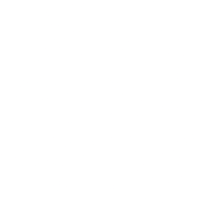 lvl_40_role emote for Discord