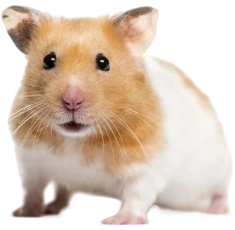 Fluffle emote for Discord