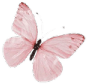 Pink_butterfly emote for Discord