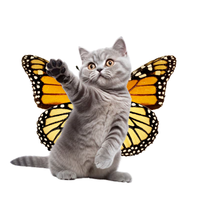 Butterflykitty emote for Discord