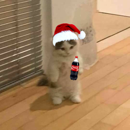 rizzmas_cat emote for Discord