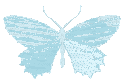 chrome_butterfly emote for Discord
