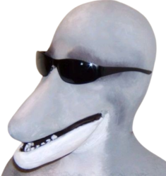 cursed_swag_dolphin_meme emote for Discord