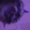 PartyCat emote for Discord