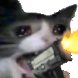 CatGun emote for Discord