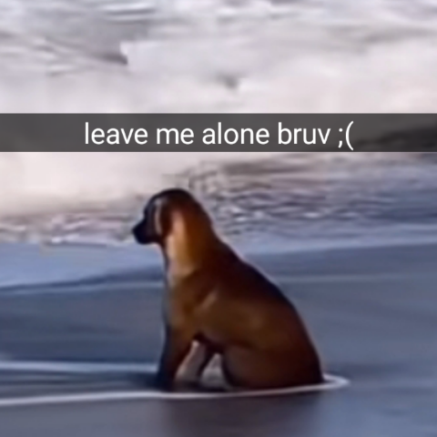 LeaveMeAloneBruv emote for Discord