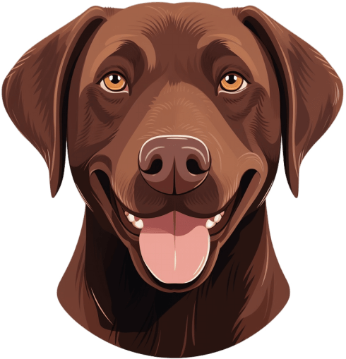 chocolatelab emote for Discord