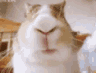 Lil emote for Discord