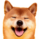 HappyDoge emote for Discord