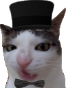 PoshCat emote for Discord