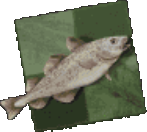 Stockfish_emote_chess emote for Discord