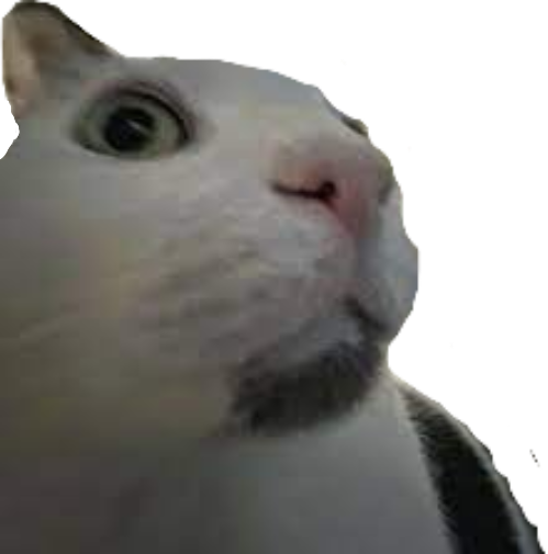 Shocked_Cat emote for Discord