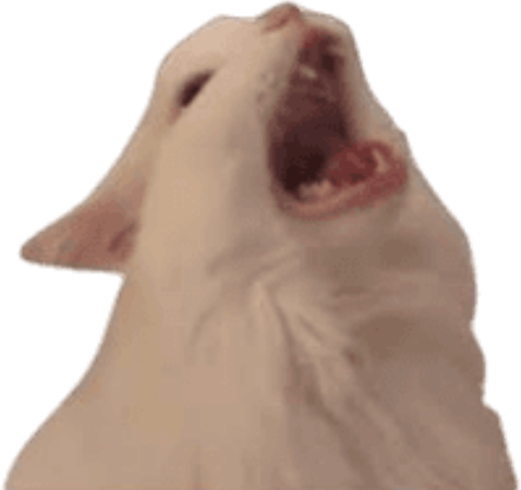 Screaming_Cat emote for Discord