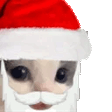 MMEOWDY emote for Discord