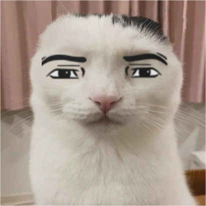 ManfaceCat emote for Discord