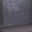 Cat_Arrive emote for Discord