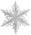 white_snowflake emote for Discord