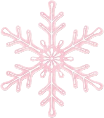 pink_snowflake emote for Discord