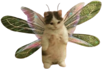 cat_fairy emote for Discord