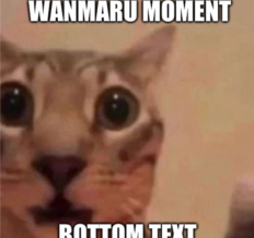 WanmaruMoment emote for Discord
