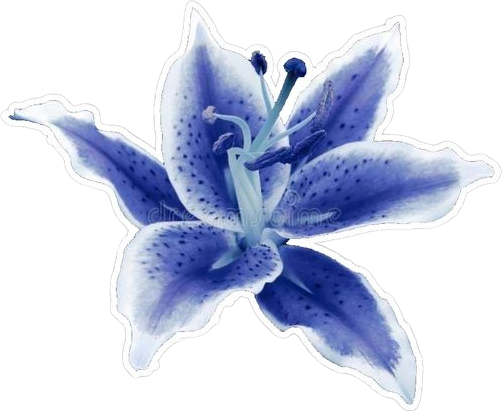 Blueflower emote for Discord