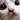 pixelcatwhat emote for Discord