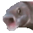Fishmeme emote for Discord