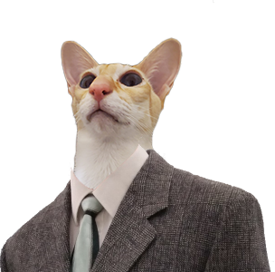 CatMan emote for Discord