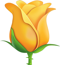 orange_rose emote for Discord