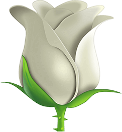 white_rose emote for Discord