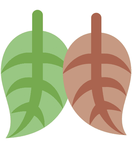 LeafDance emote for Discord