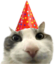 PartyCat emote for Discord