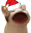 cat_christmas emote for Discord