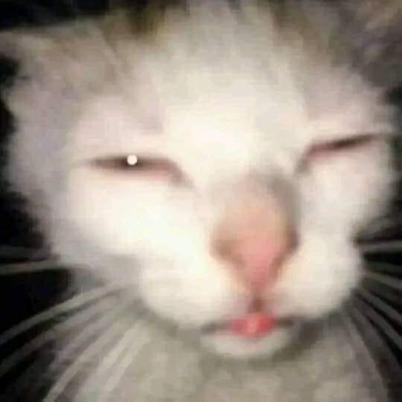 goofy_ah_cat emote for Discord