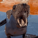 SeaLion animated emote