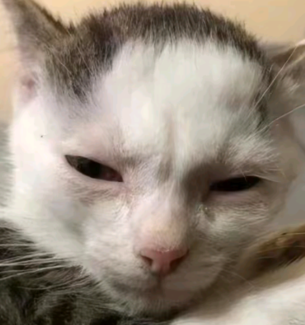 tiredmichi emote for Discord