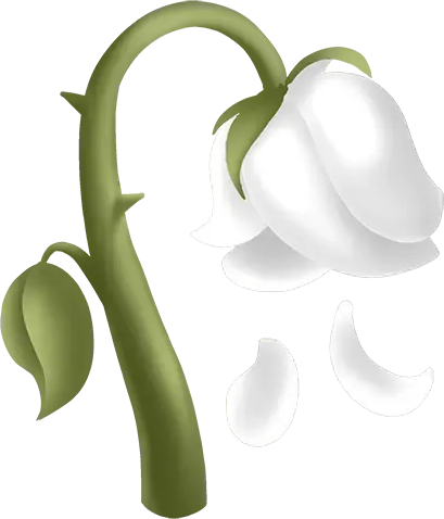 White_Flower emote for Discord
